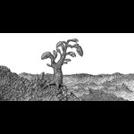 168. Martian Claw Tree