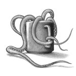 169. Octopus Cup